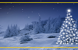 Beschneiter Weihnachtsbaum in dunkler Winterlandschaft